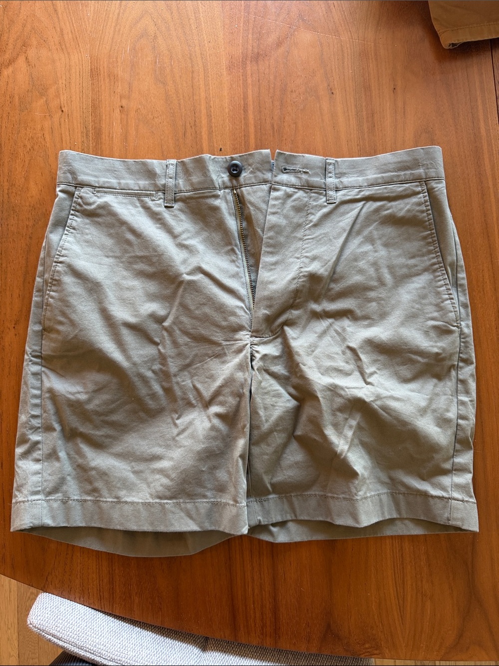 J. Crew Men's Green Neutral Flat-Front Shorts